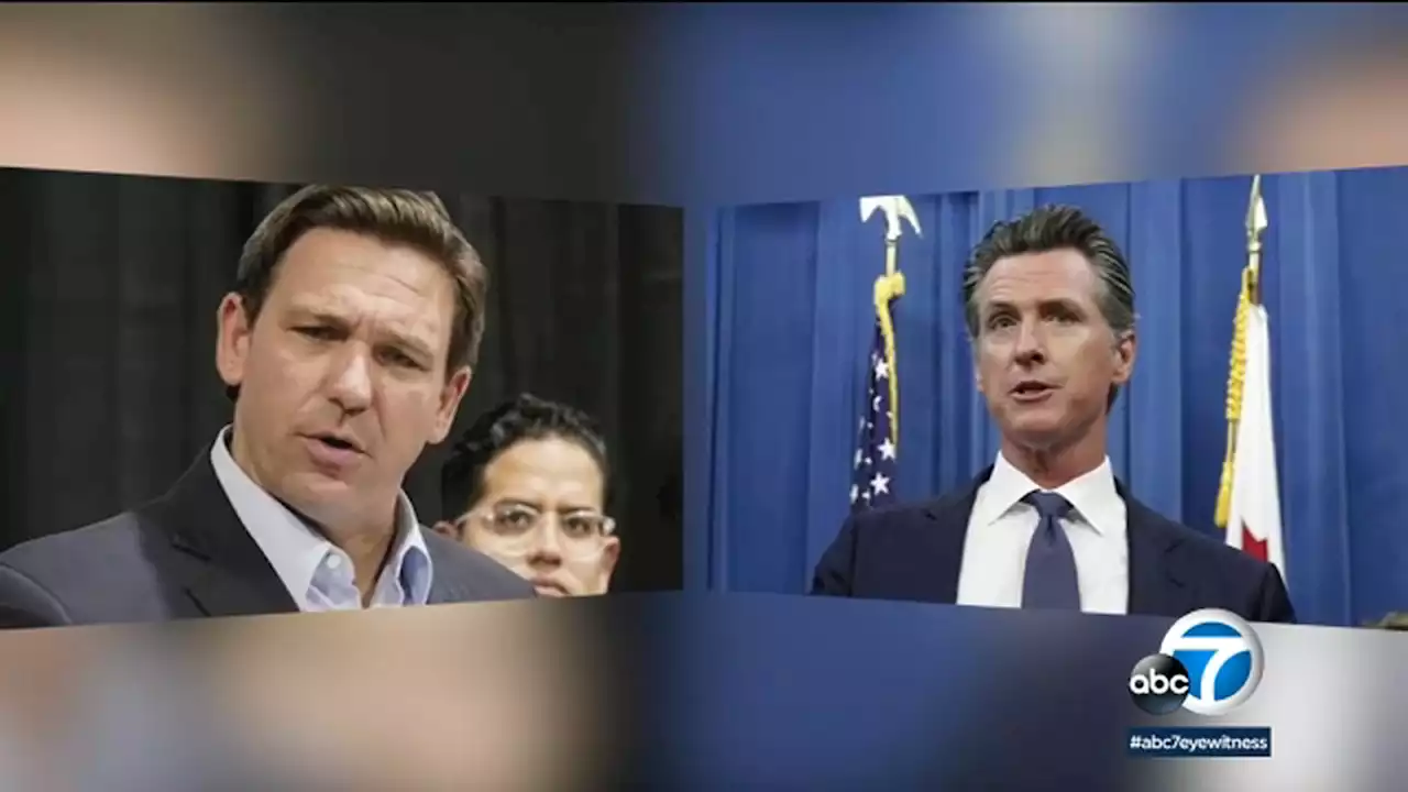 Newsom donates $100K to DeSantis' opponent in Florida governor's race: 'I don't like bullies'