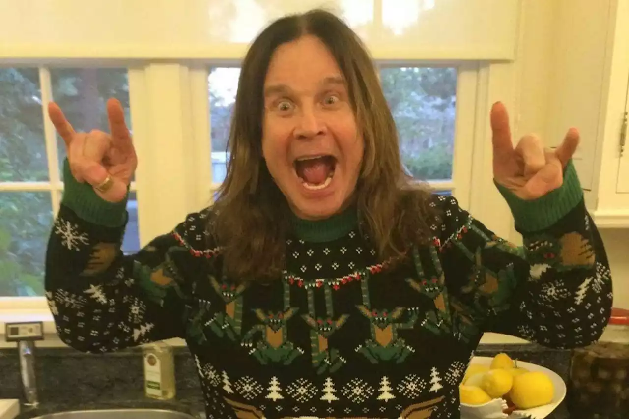 Ozzy Osbourne: 'Ho smesso con acidi dopo chiacchierata con un cavallo'