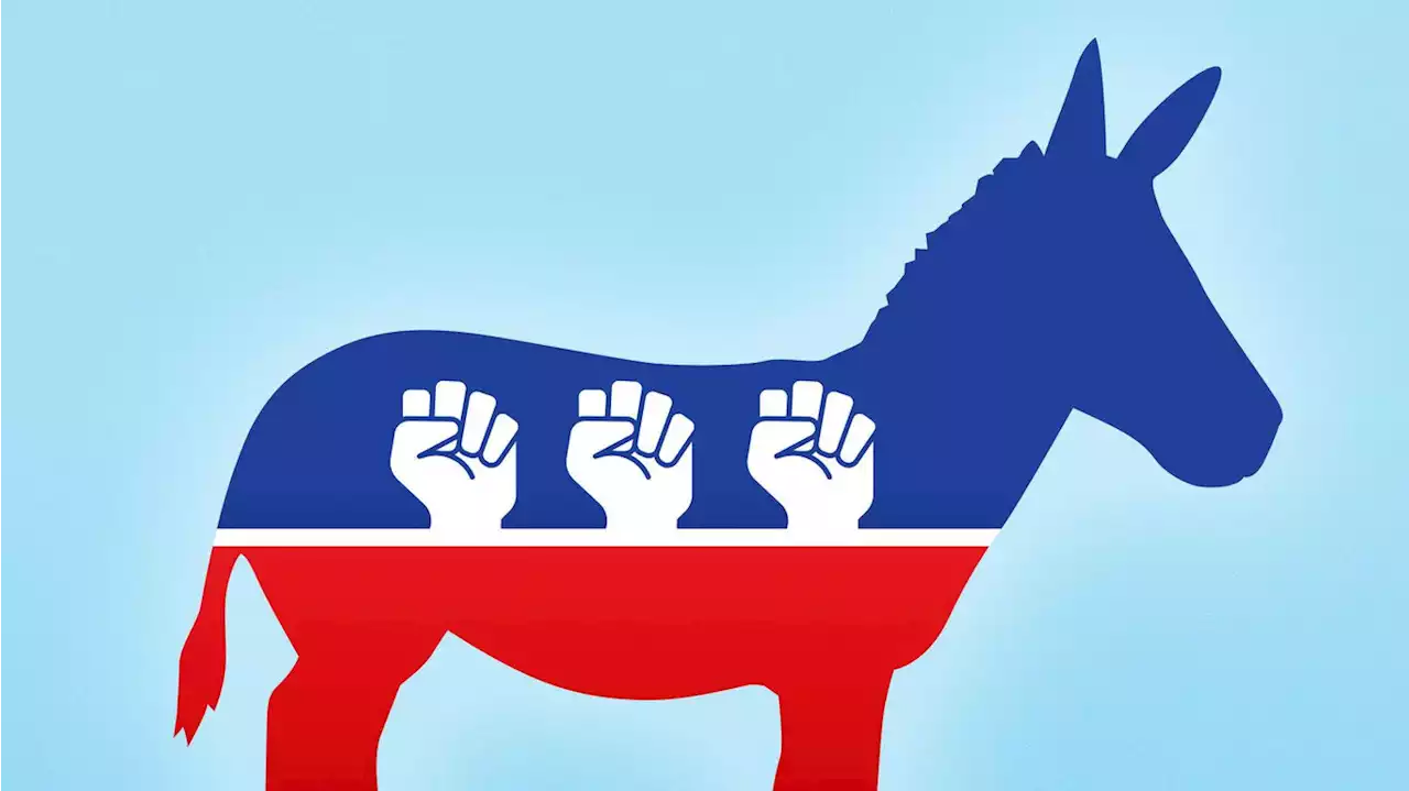 Democrats try to unionize campaigns