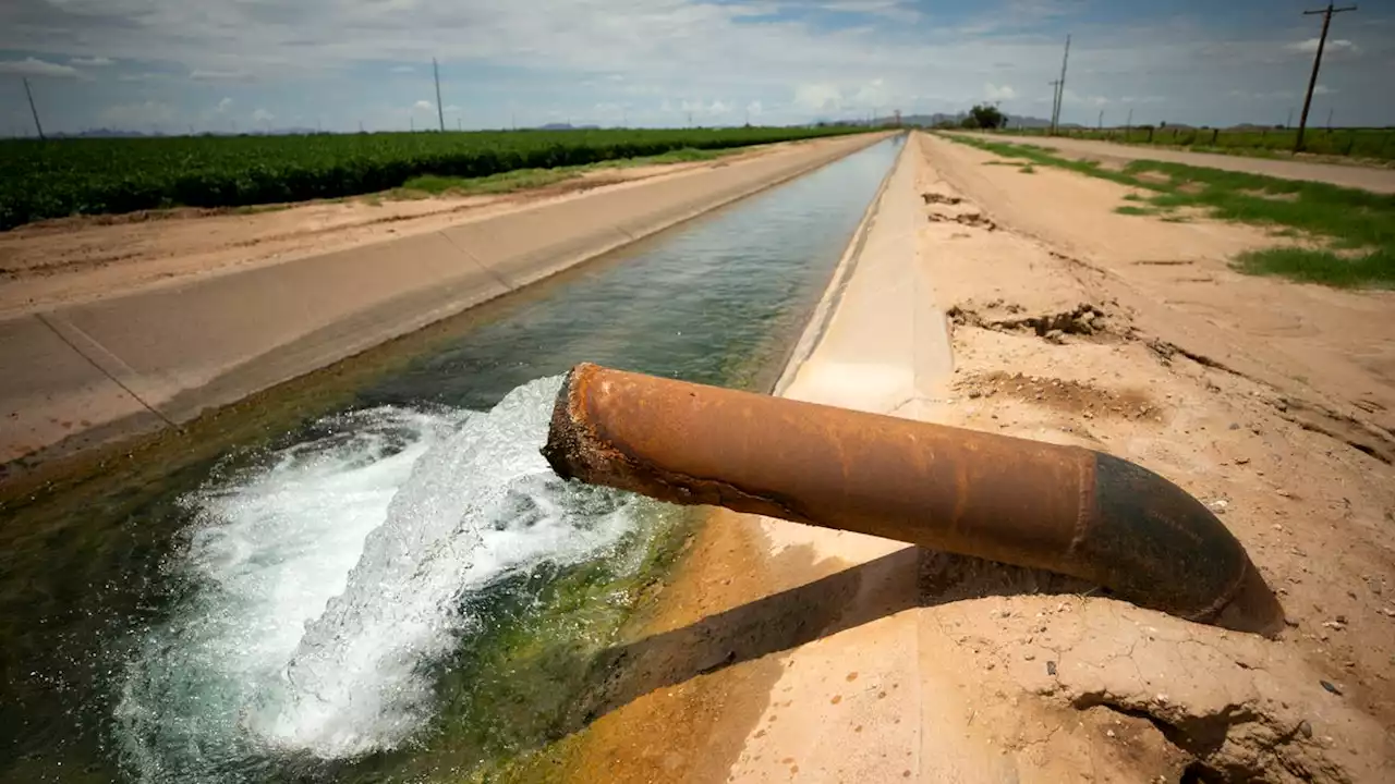 Arizona has taken the heaviest Colorado River water cuts. Other basin states must step up