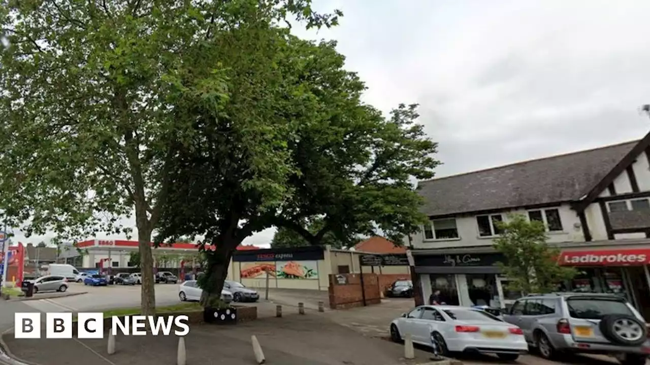 Derby: Leaning tree to stay put despite safety concerns