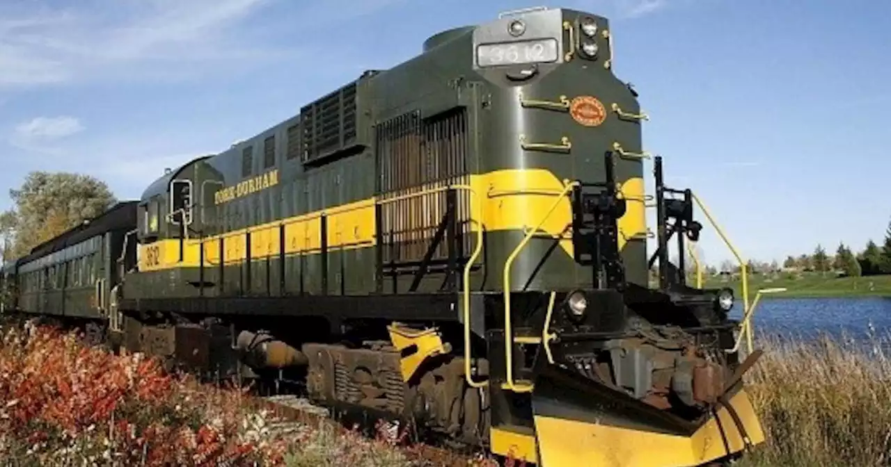 This train ride in Ontario will let you sip high tea as you look out at the fall colours