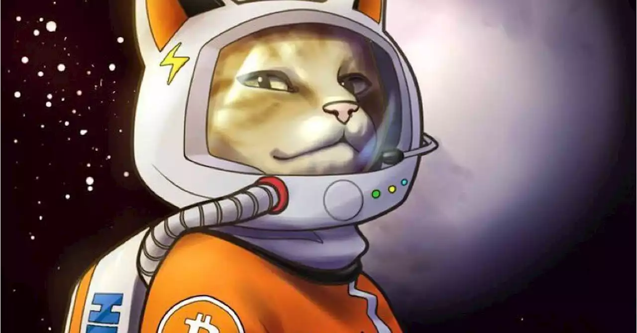 Pseudonymous Hodlonaut 'Very Confident' as Craig Wright Defamation Case Nears