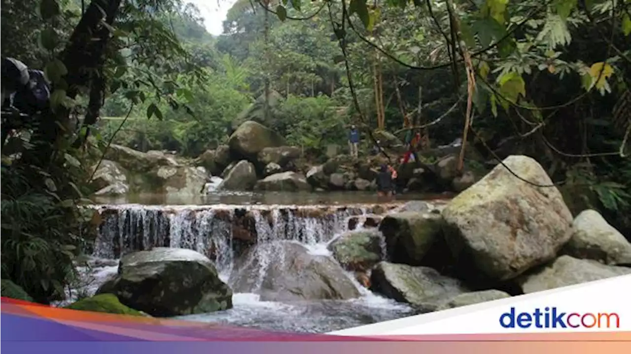 Curug Lembah Tepus, Sensasi Air Terjun Bertingkat di Bogor