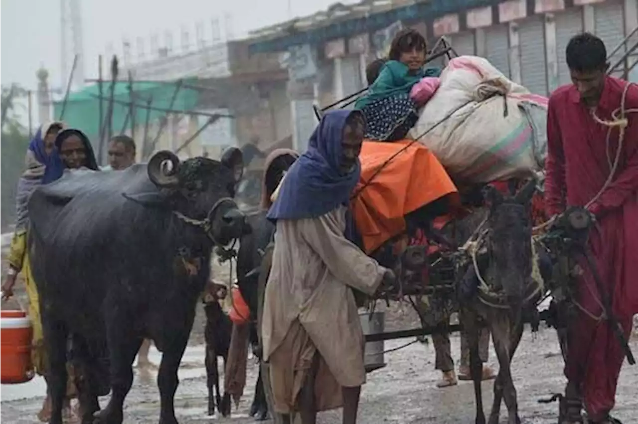 سیلاب سے نقصانات کا تخمینہ 900 ارب سے زائد، فصلوں کو شدید نقصان