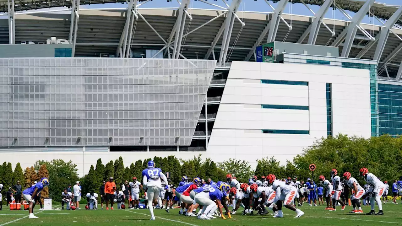 Melee ends Rams-Bengals joint practice early