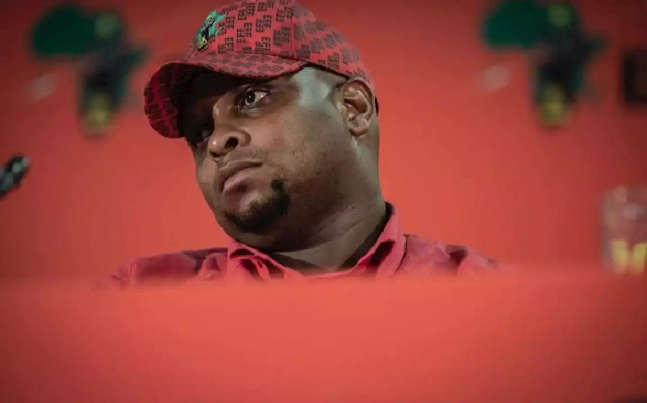 EFF's Shivambu shared top secret intelligence report with PP's office, MPs told