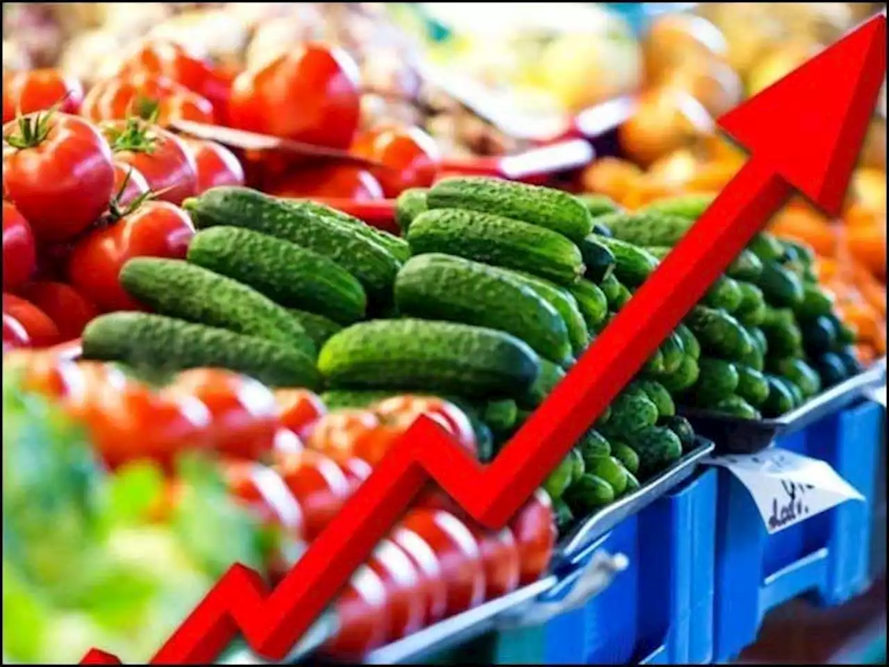 ملک میں مہنگائی تاریخ کی بلند ترین سطح پر پہنچ گئی - ایکسپریس اردو