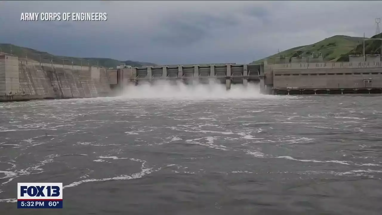 Report: Benefits of dams must be replaced before breaching