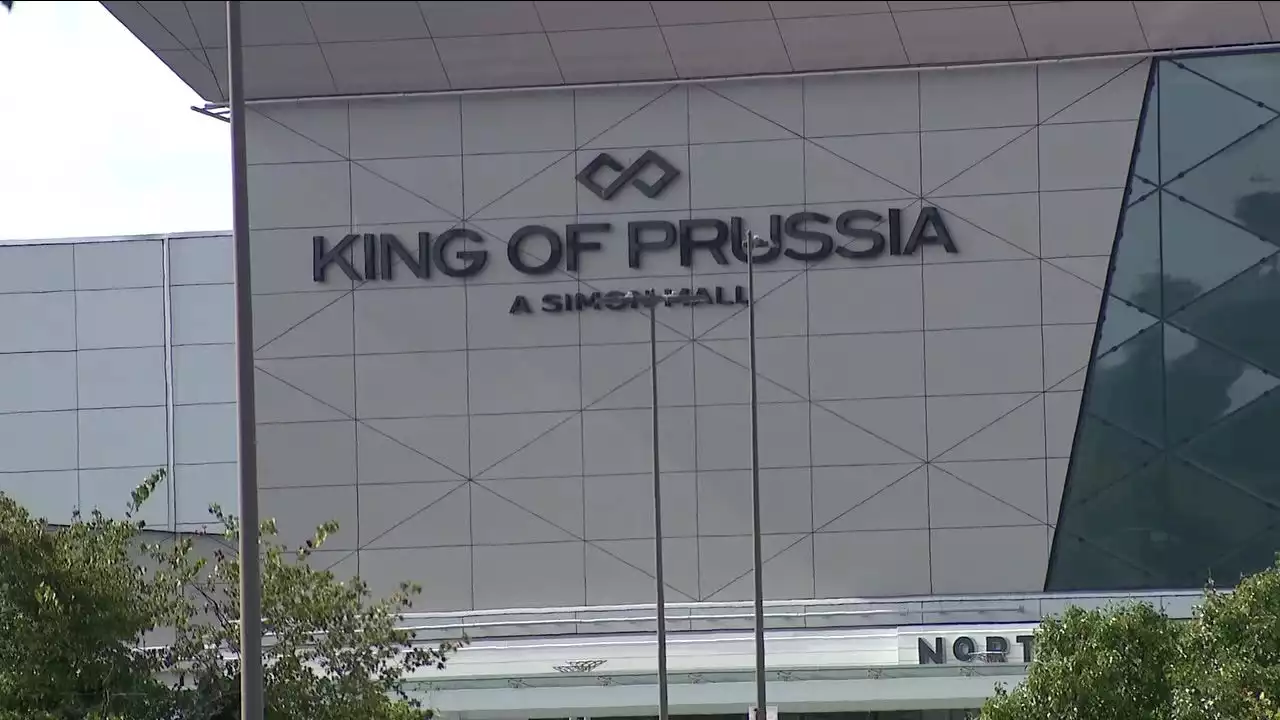 Woman with permit to carry pulls out gun during argument at King of Prussia Mall, police say