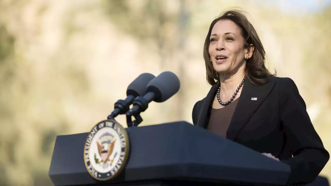 Vice President Kamala Harris to attend Artemis l launch in Florida