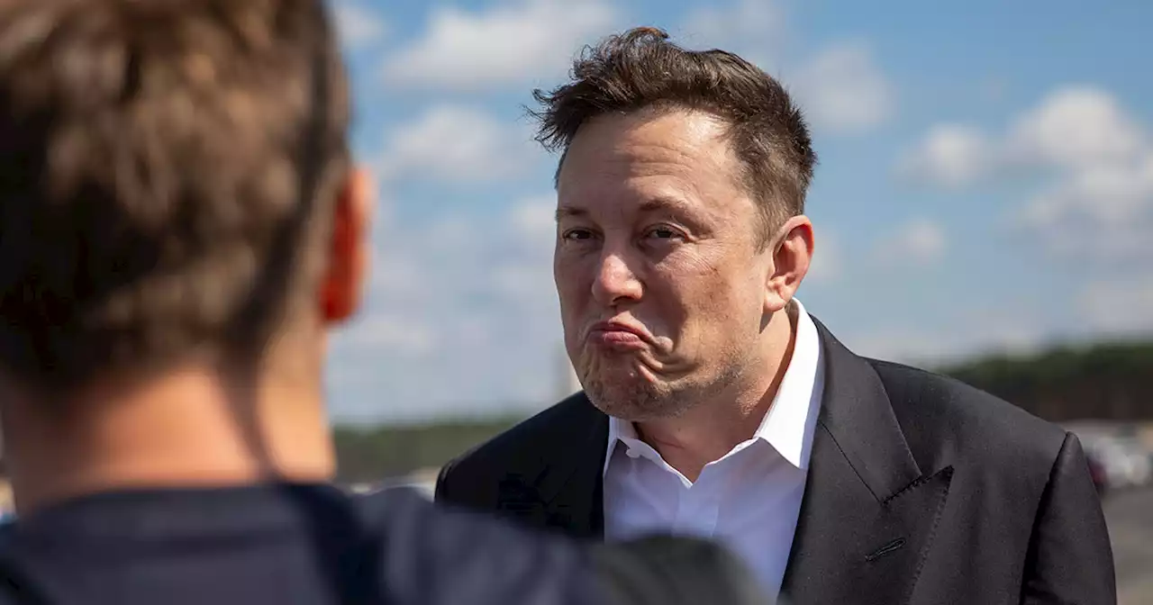 Elon Musk Snaps at Guy Who Pointed Out Bug in Tesla's Beta FSD