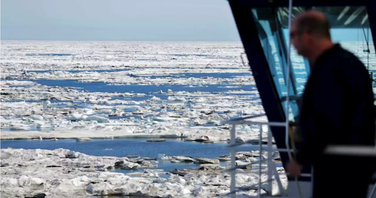 Climate change will ‘fundamentally’ shift how Canada, allies handle Arctic: NATO chief - National | Globalnews.ca