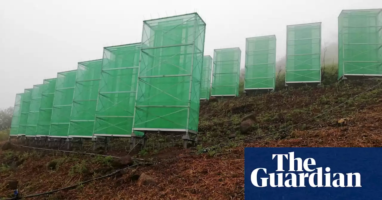 Dealing with drought: how fog collectors are providing trees with water in Spain