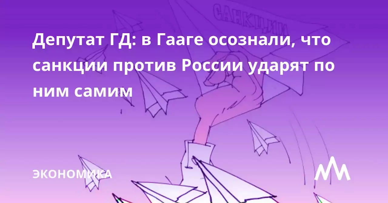 Депутат ГД: в Гааге осознали, что санкции против России ударят по ним самим