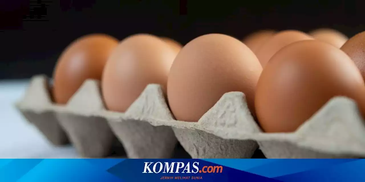 Mendag Zulhas Sebut Harga Telur Meroket gara-gara Bansos, Ini Bantahan Kemensos