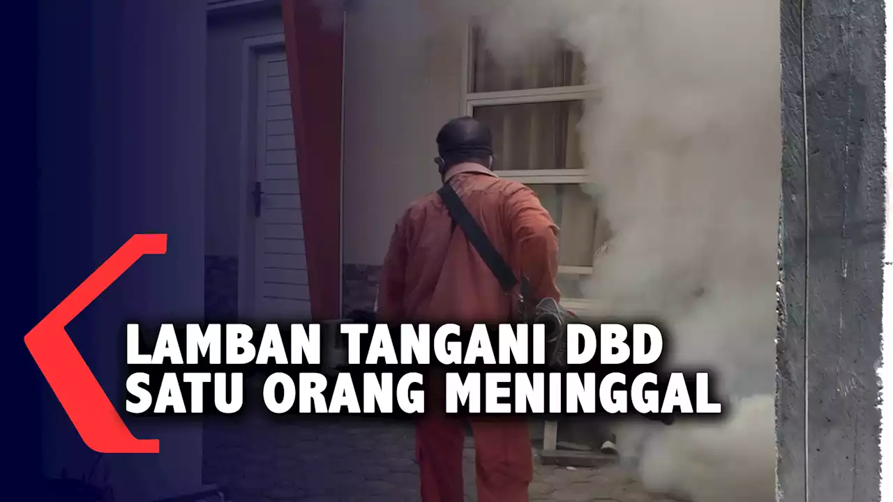 Dua Orang Meninggal karena Demam Berdarah Dengue