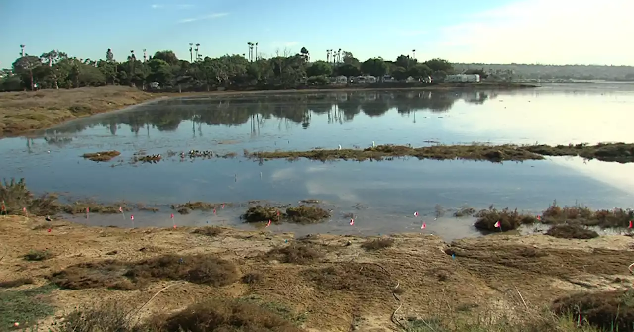 Revised climate action plan would bolster San Diego's marshland