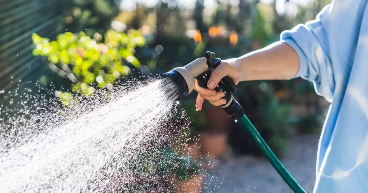 Yorkshire Water hosepipe ban starts today - what you can and can't do