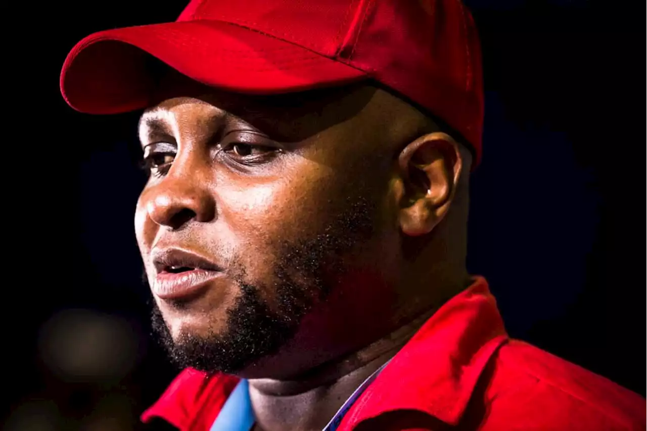 Shivambu gave Mkhwebane top secret report on Sars unit