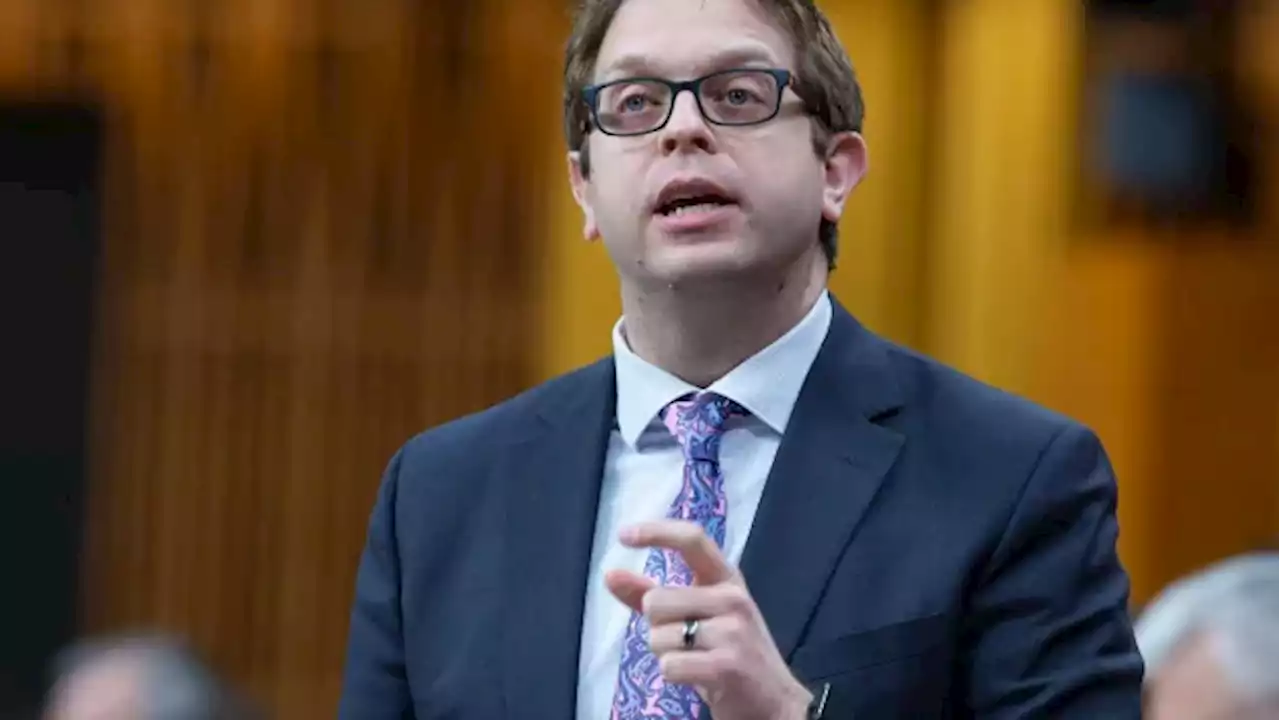 Liberal MP apologizes for tweet implying professor was racist | CBC News