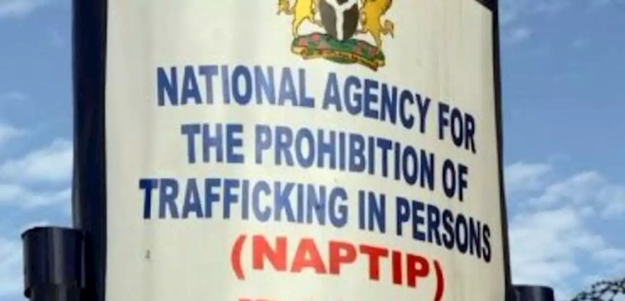 NAPTIP rescues five child labourers, seals construction site in Enugu