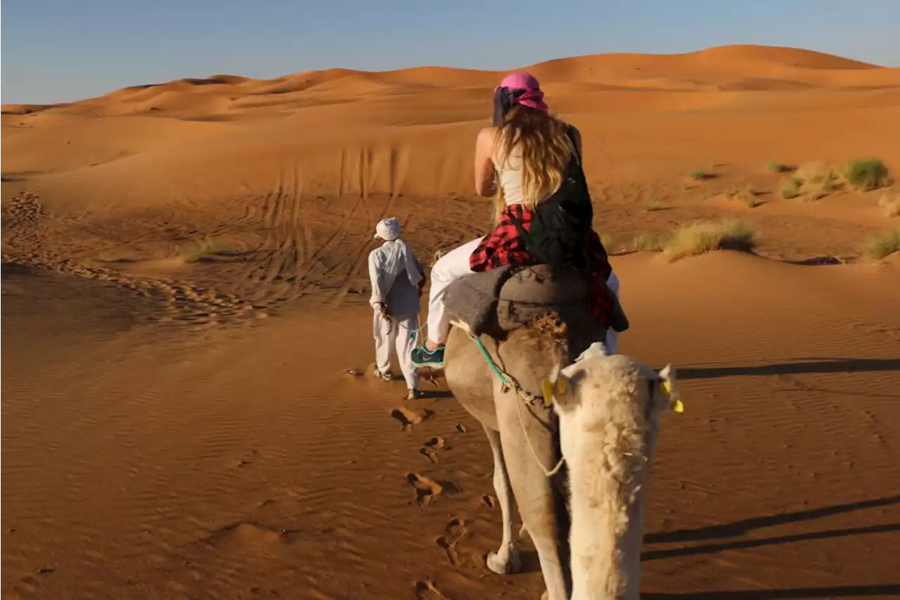 Inside a Moroccan Marijuana Farm