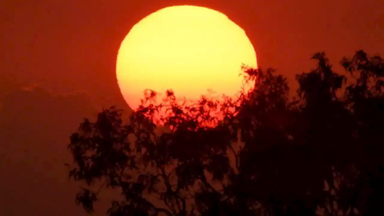 'A life of sustained heat stress': What could Australia's weather look like in 2100?