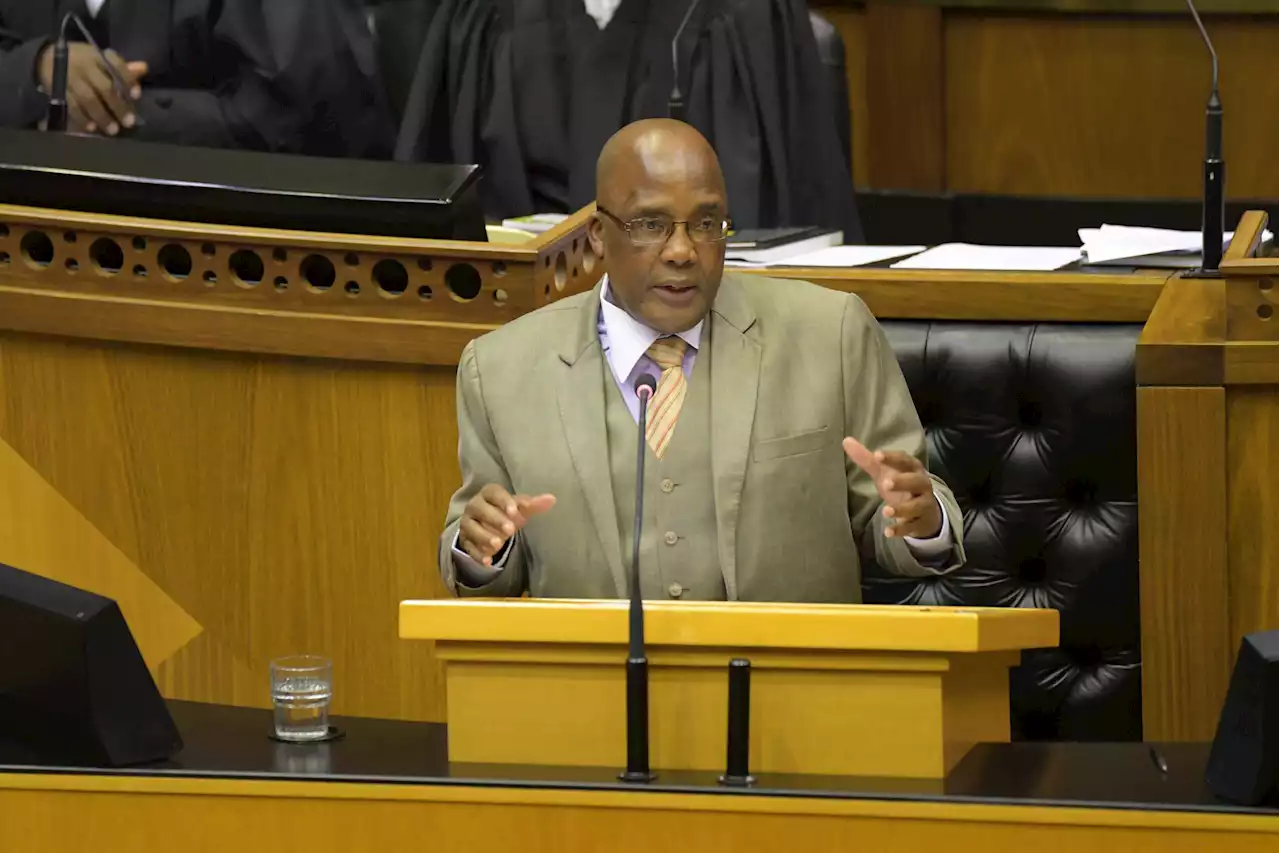 'Migrants under 25 got retirement visas' - Motsoaledi says SA passport 'a laughing stock' | The Citizen