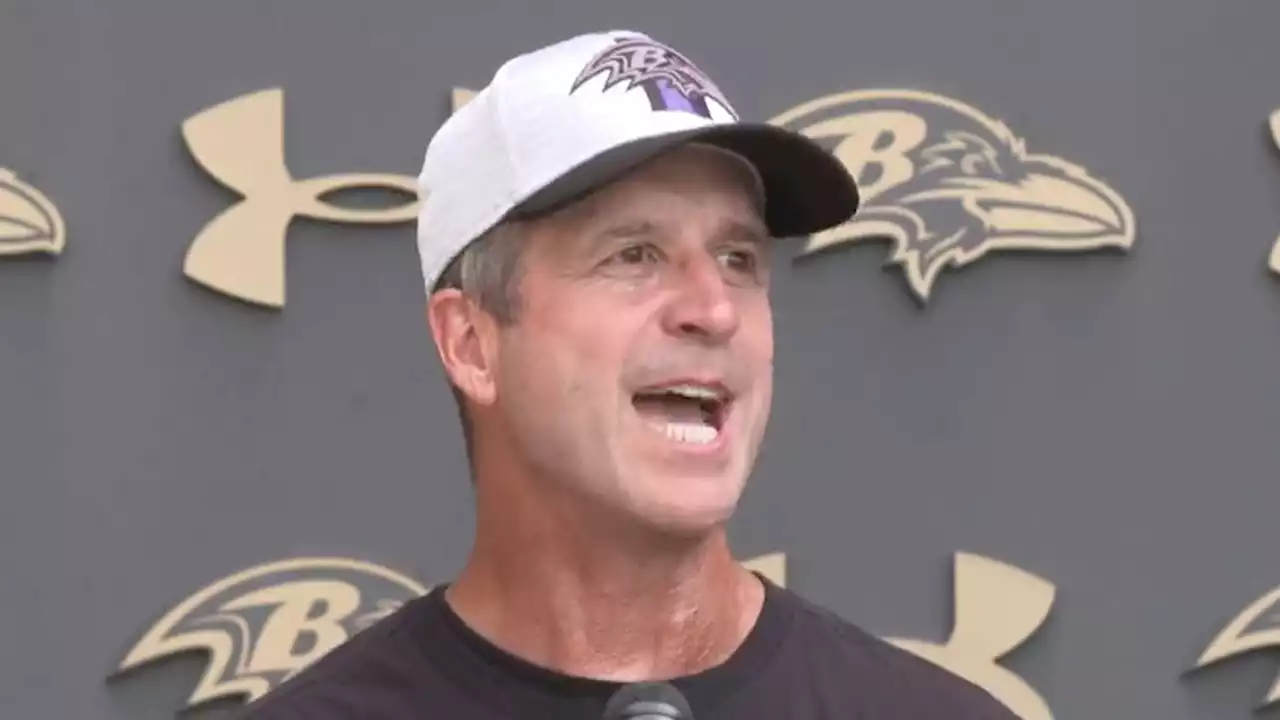 John Harbaugh Clowns Rex Ryan Over 'Amazing Race' Entry, 'I Think He'll Get Lost'