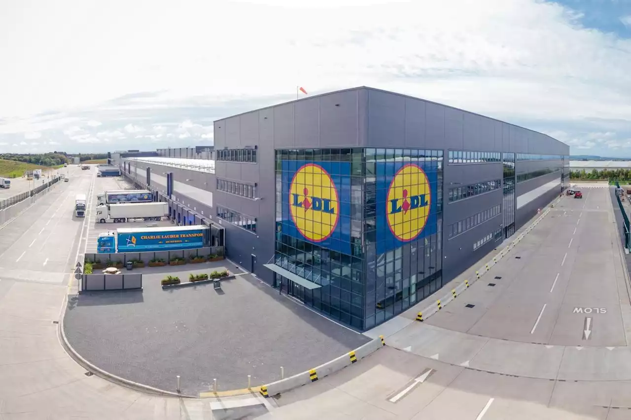 Lidl to sell “stunted” fruit and vegetables to support farmers and ensure food does not go to waste