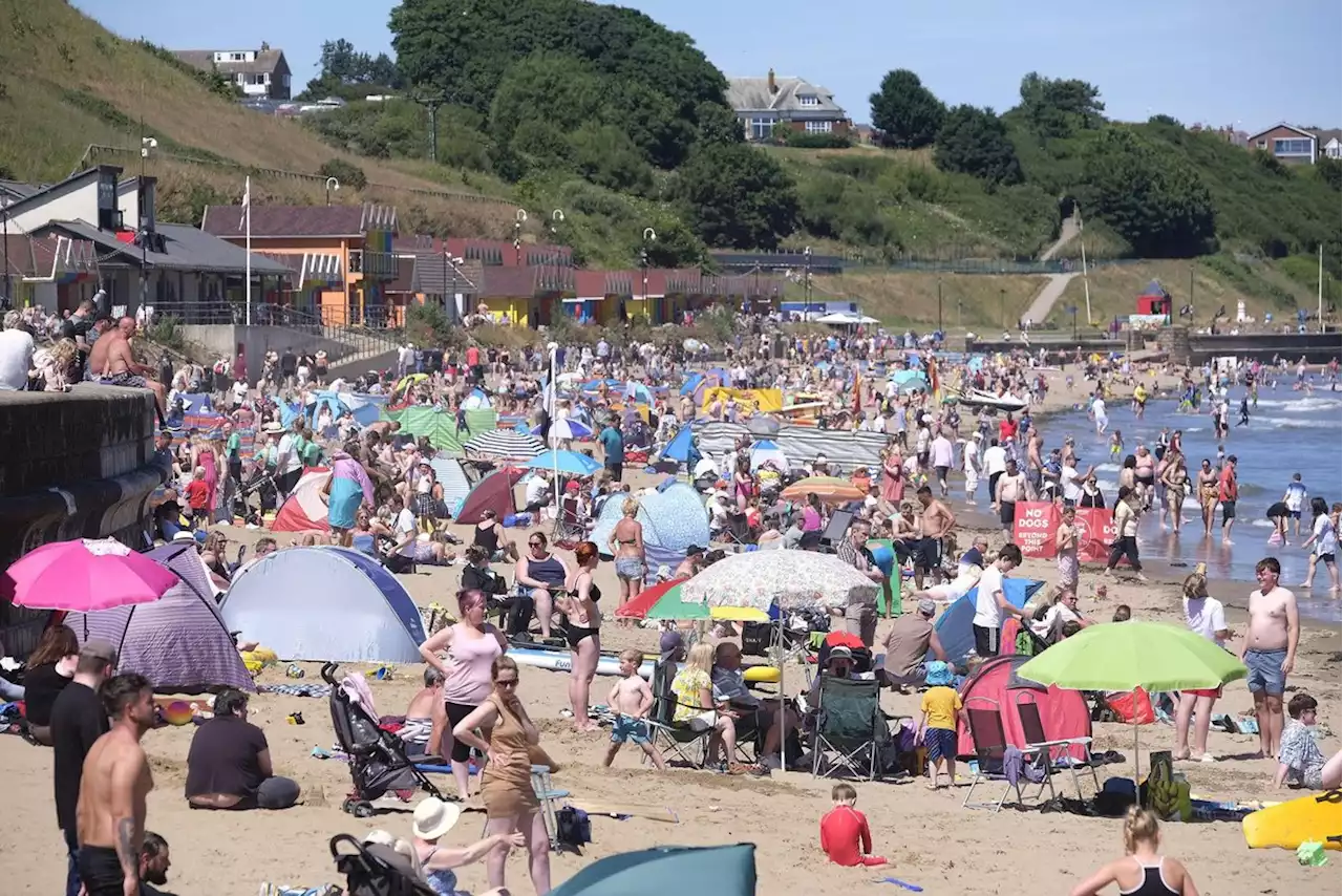 Scarborough: The Yorkshire beach with the most sewage warnings in the country