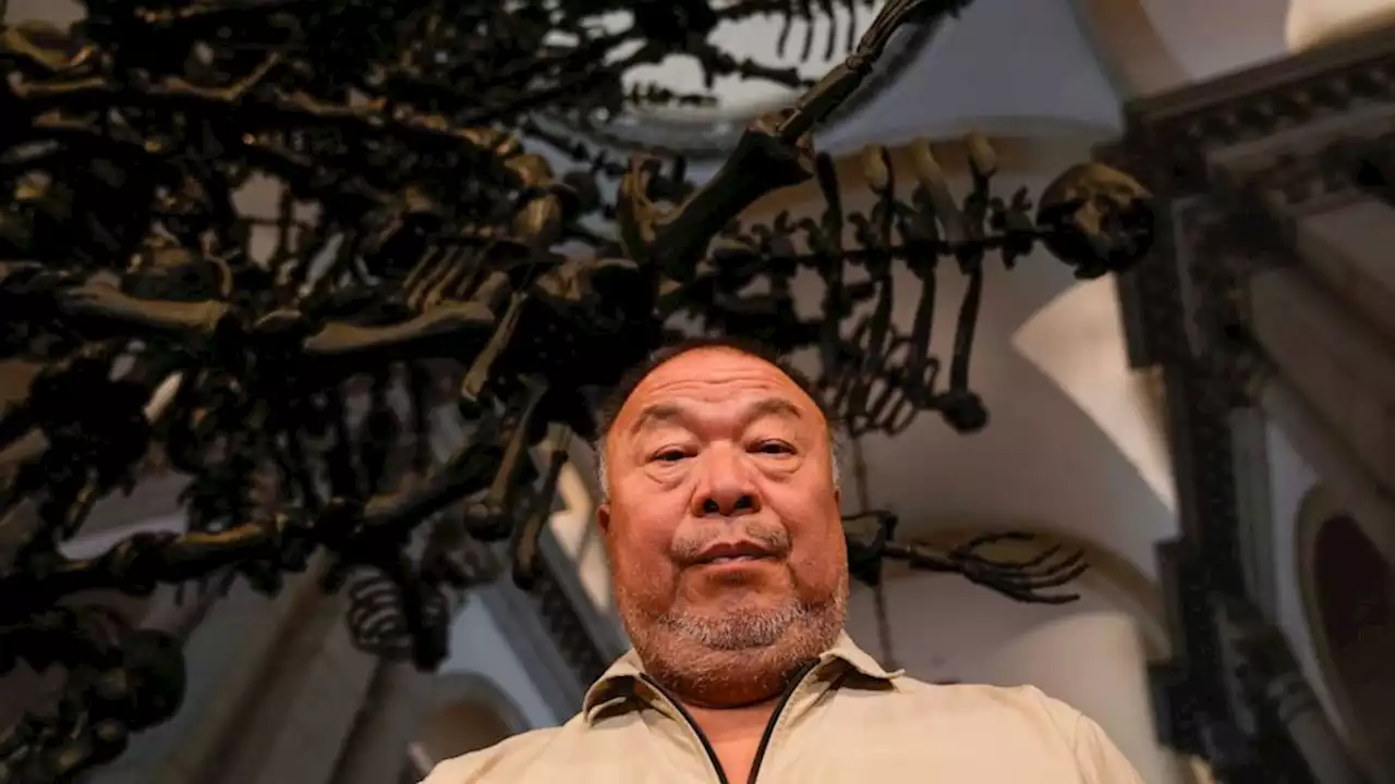 Artist Ai Weiwei warns against hubris in 'troublesome' times