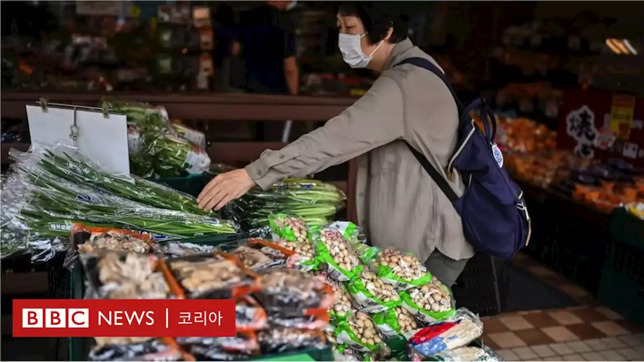 '플라스틱 천국' 일본에서 일회용 플라스틱 없이 살아보기 - BBC News 코리아