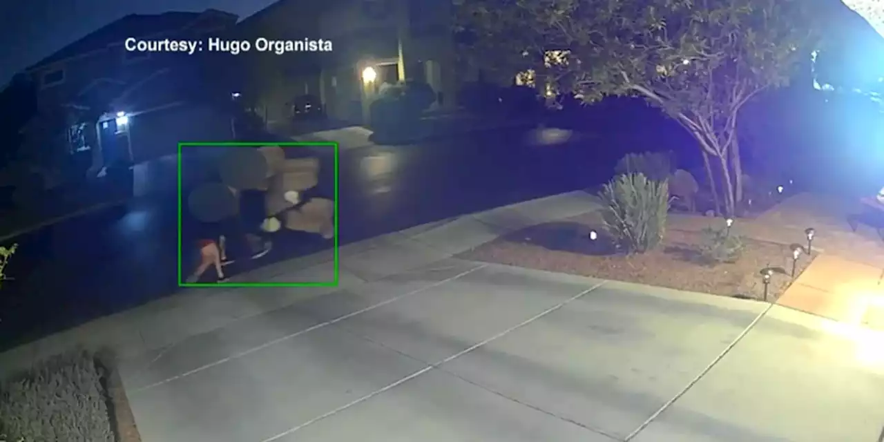 WATCH: Porch pirates fill shopping cart with stolen packages as they walk through neighborhood