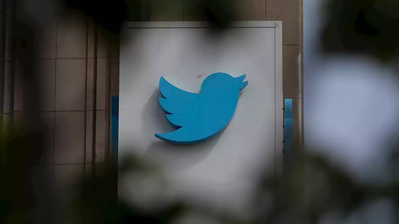 How Twitter has been shaken by a whistleblower's allegations