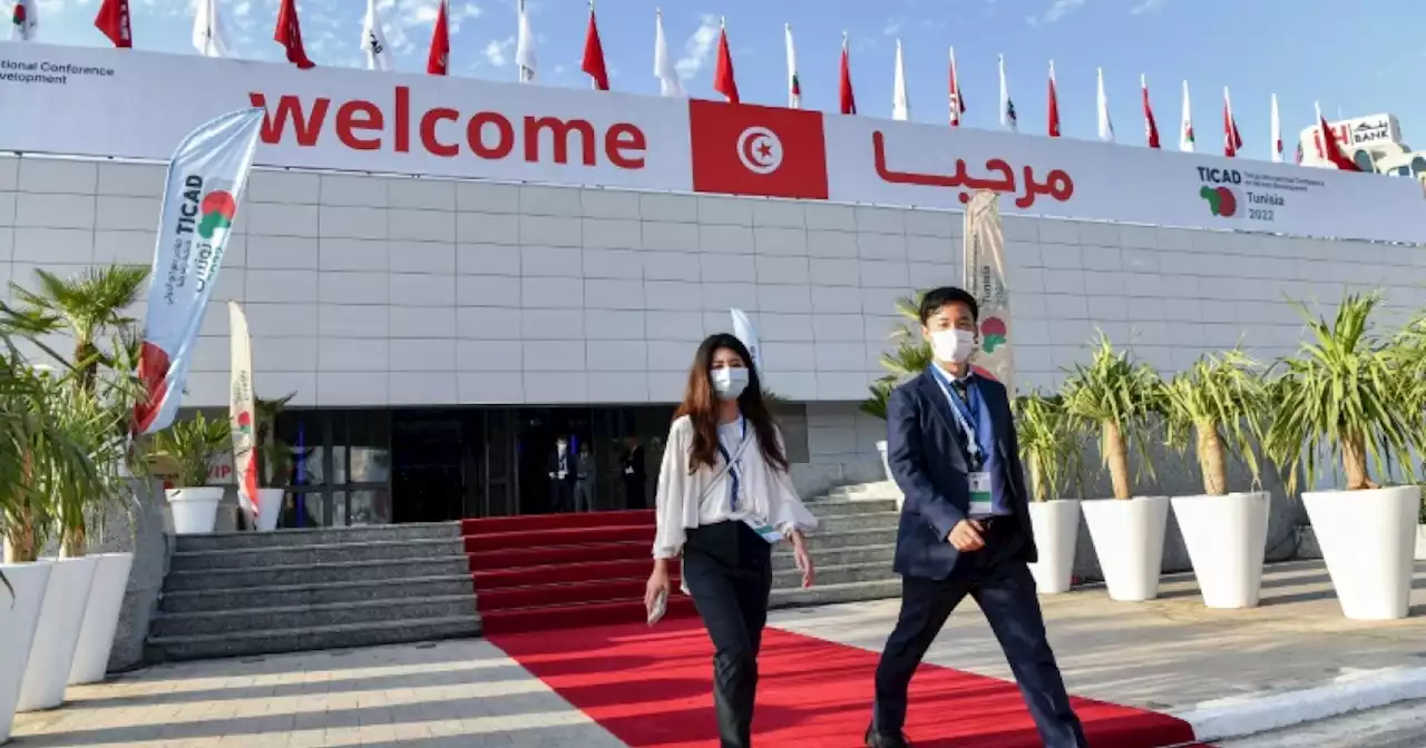 Tunis hosts Japan-Africa investment conference