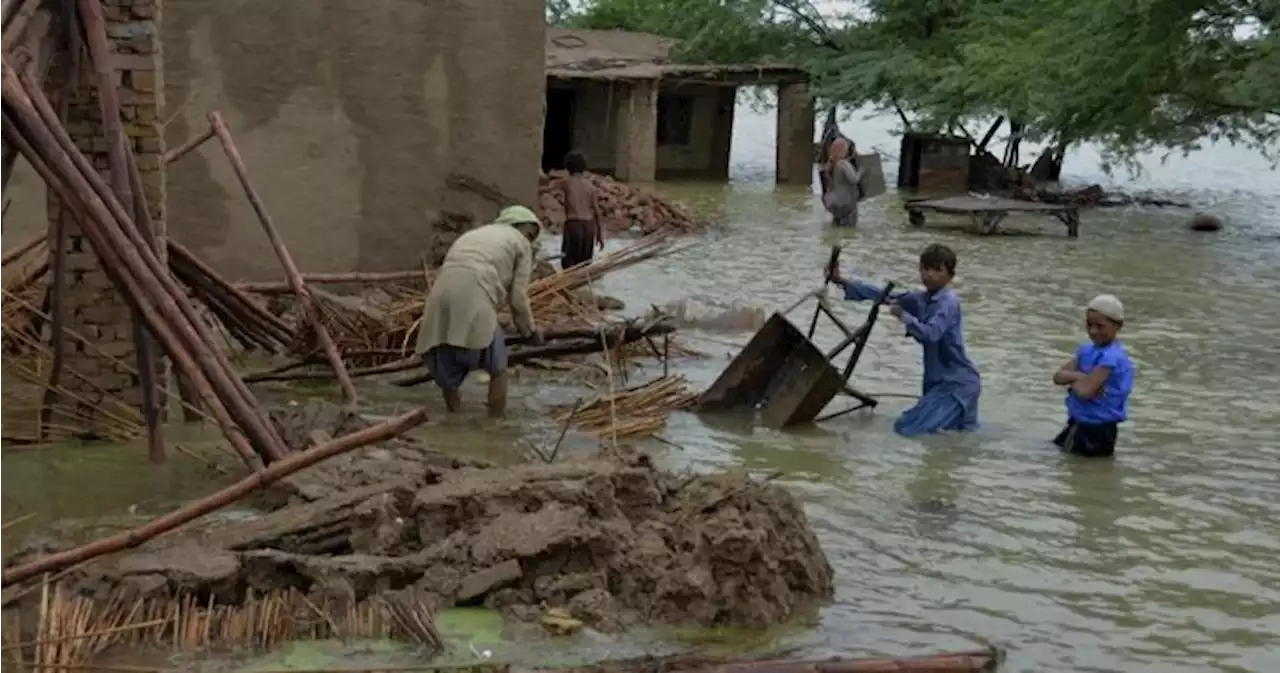 Canada issues travel warning for Pakistan amid heavy flooding: ‘Be very cautious’ - National | Globalnews.ca