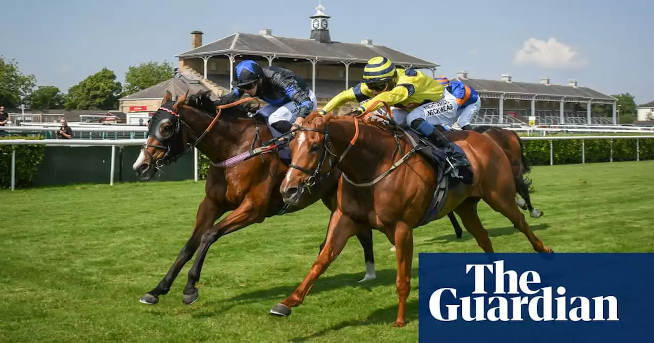 Talking Horses: Broctune Red can get punters off to a flier at Beverley