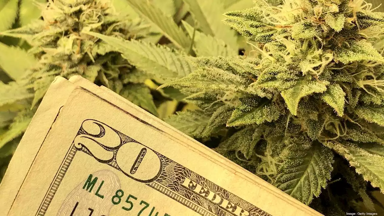 How Cogent Bank is entering the cannabis market - Jacksonville Business Journal