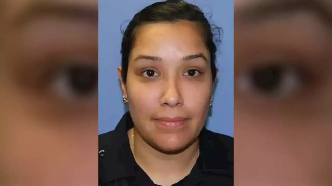 Texas police officer shown punching pregnant suspect reinstated, officials say