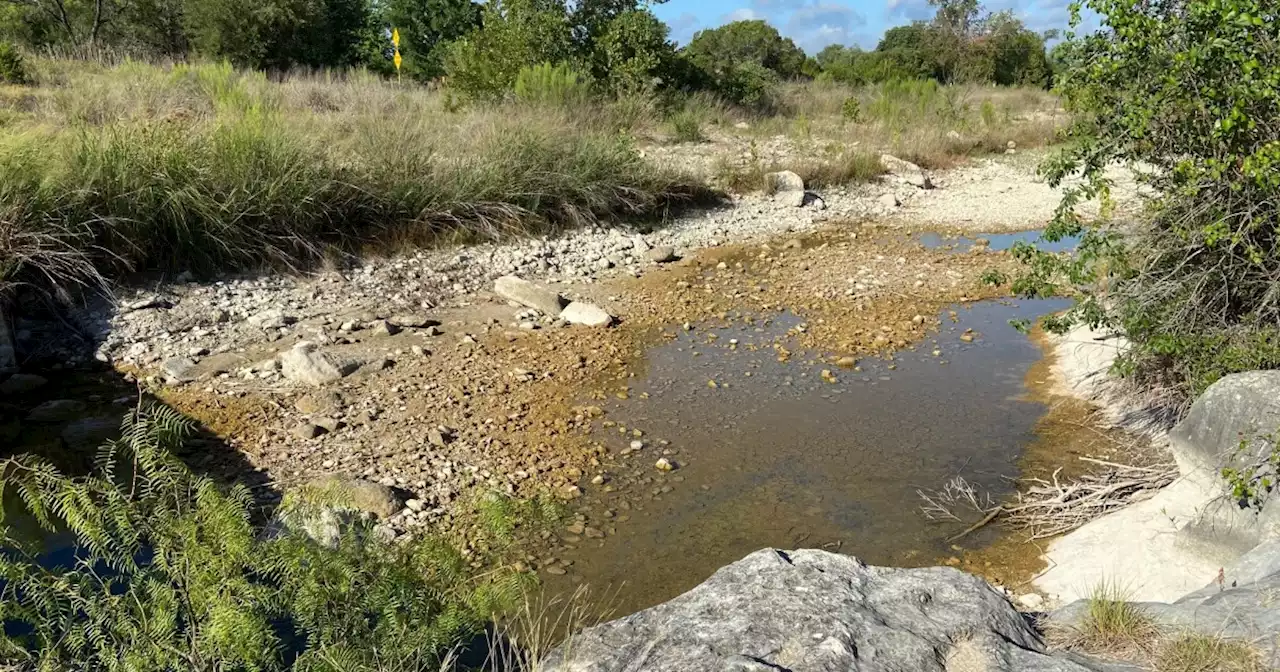 Record rains only put small dent in Texas drought