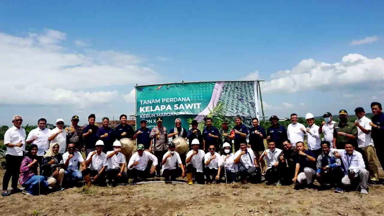 Bangun Pabrik Sawit di 2023, Holding PTPN Bakal Serap Ribuan Petani Sulsel