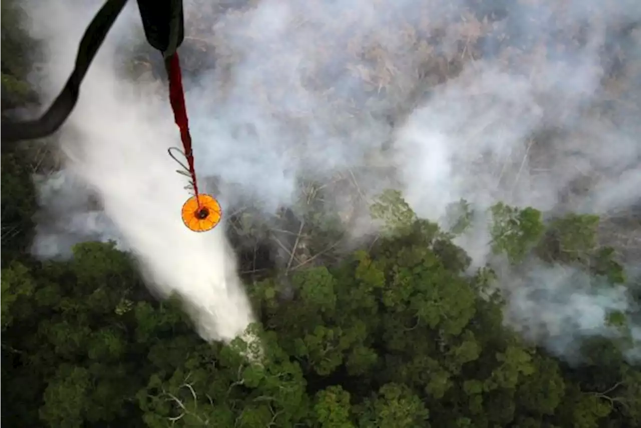 Hari Ini, 14 Titik Panas Terdeteksi di Kalimantan Timur