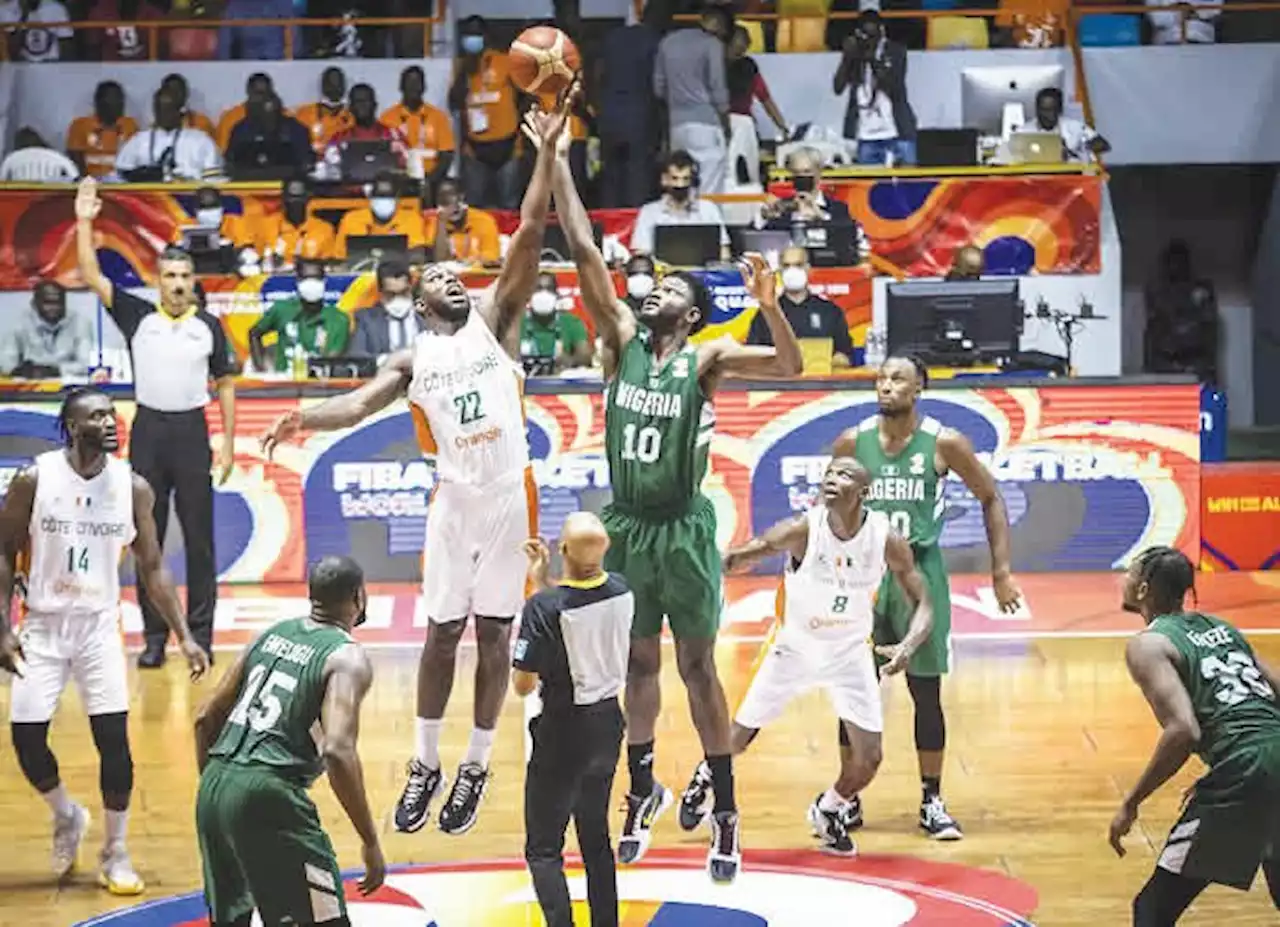 D’Tigers target Guinea scalp after Elephant defeat - Punch Newspapers
