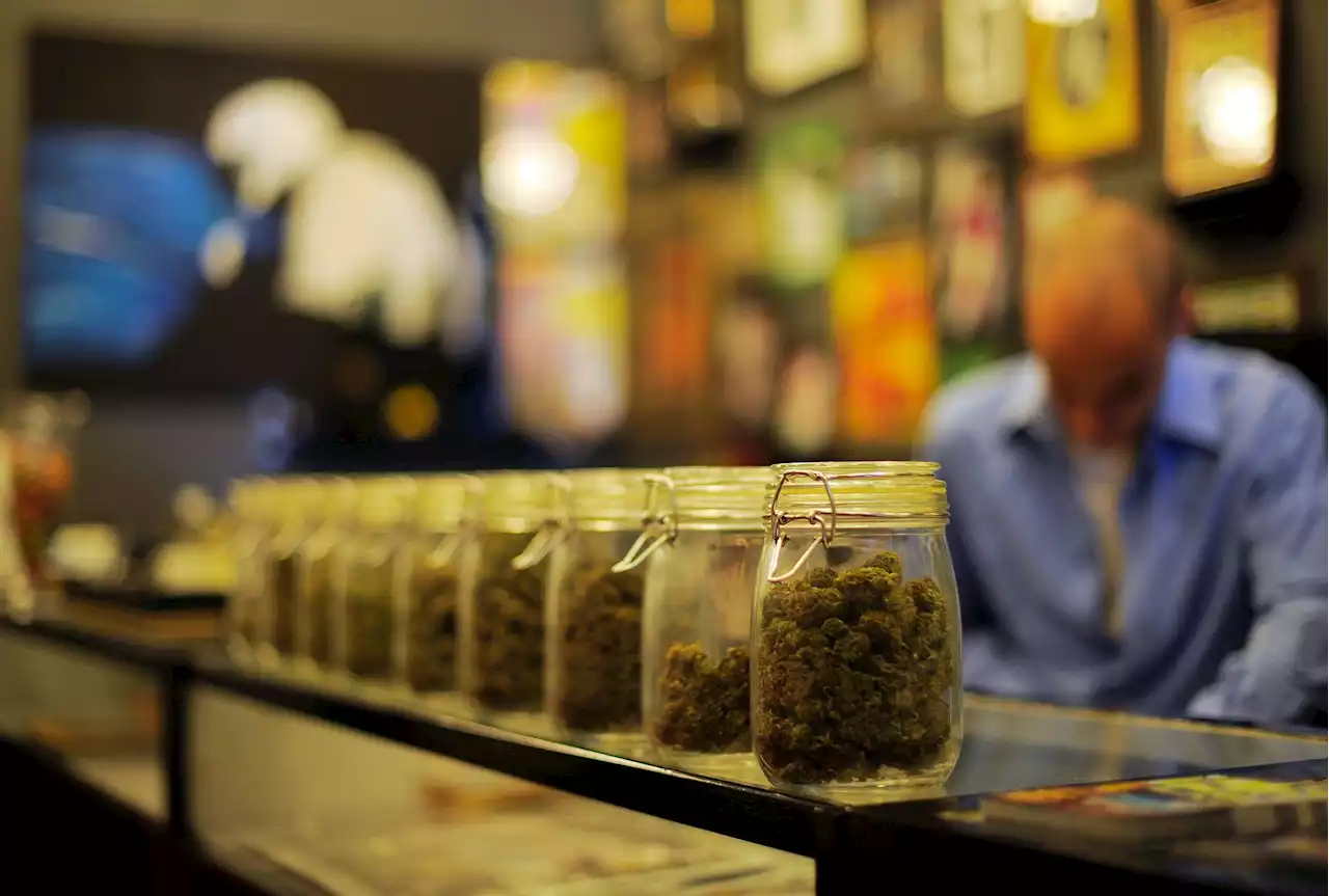 New Yorkers with pot convictions will now be the first to get to sell it