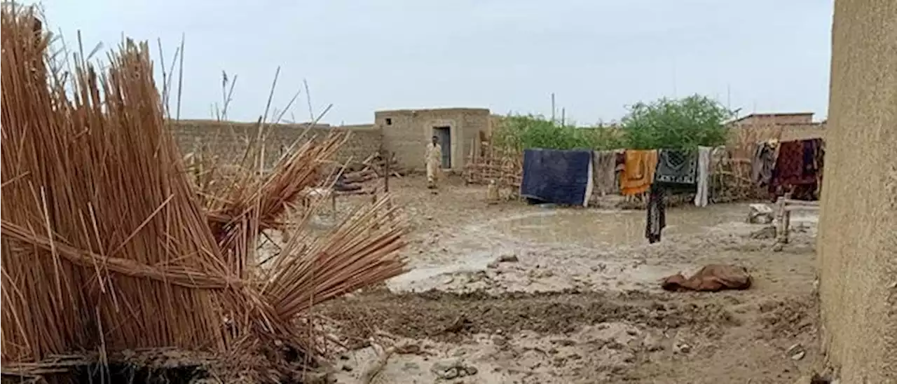 Pakistan: EU allocates €1.8 million in humanitarian assistance for flood victims