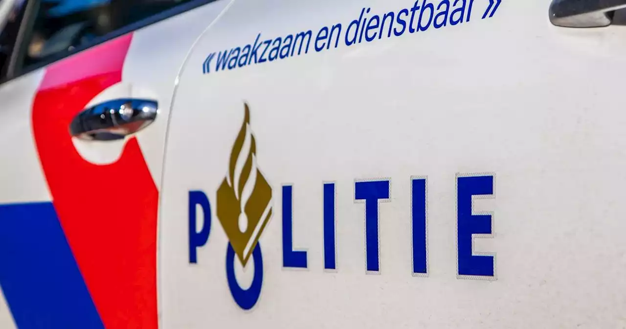 Lkw kracht in Grillfest: Mehrere Tote bei schwerem Unfall nahe Rotterdam