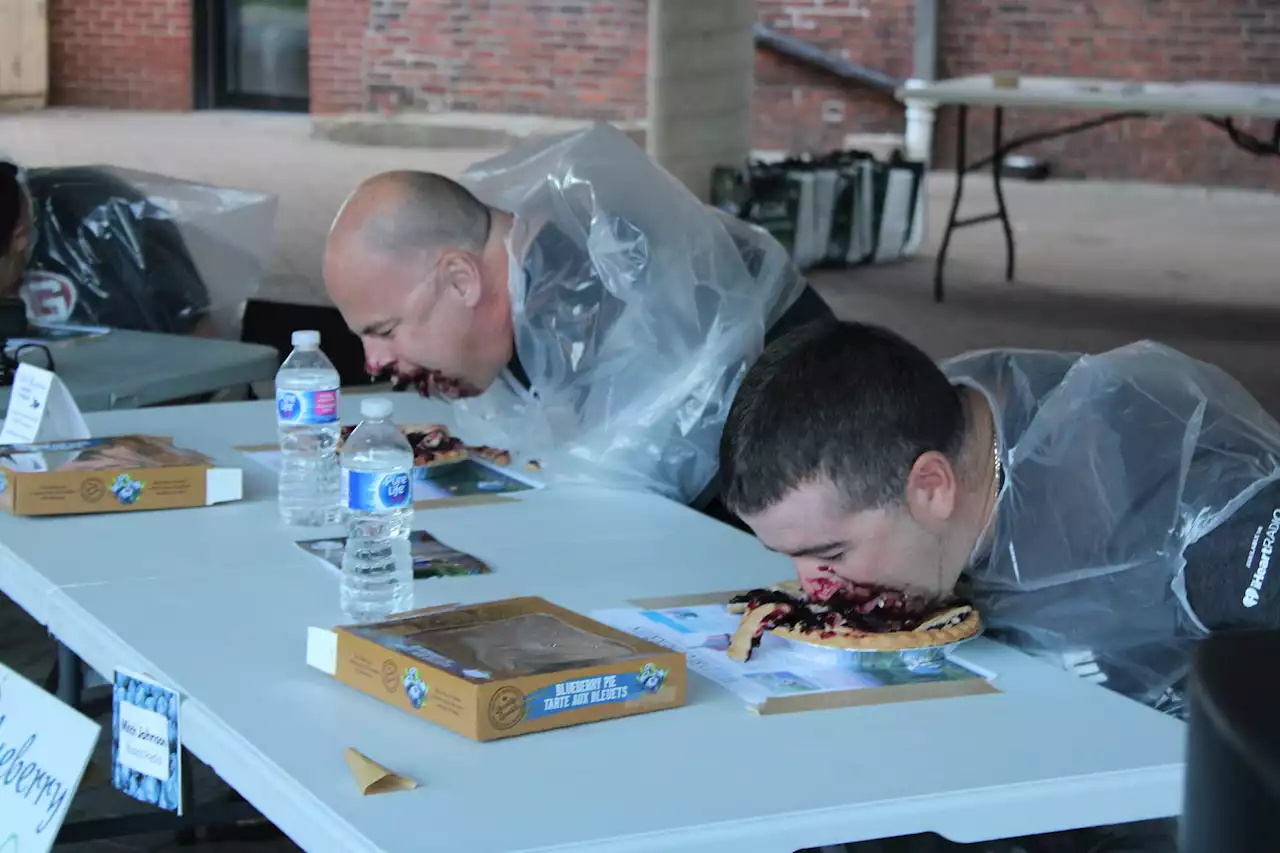 Blueberry pie-eating champ dethroned in Nova Scotia | SaltWire