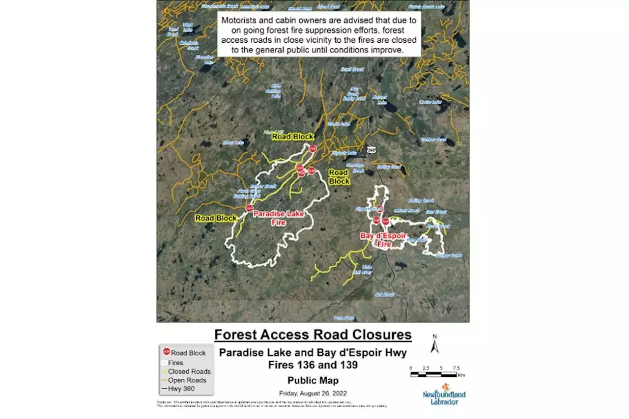 More forest access roads open in Paradise Lake and Bay d’Espoir Highway area | SaltWire